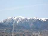 c293c8c0.jpg