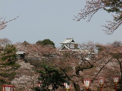 s-IMGP1409