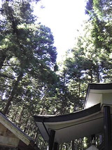 4d2f0264.jpg