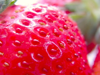 R0018522