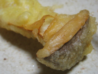 2761eb05.jpg