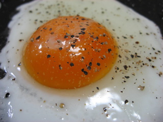 30c6e505.jpg