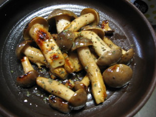 ae318e12.jpg