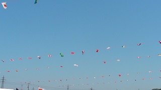 SANY1333