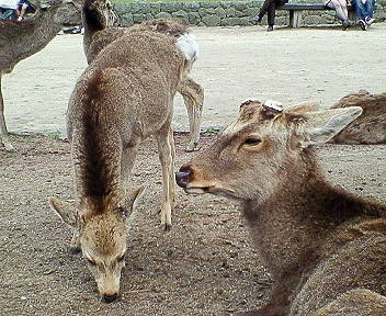 a81adcf1.jpg