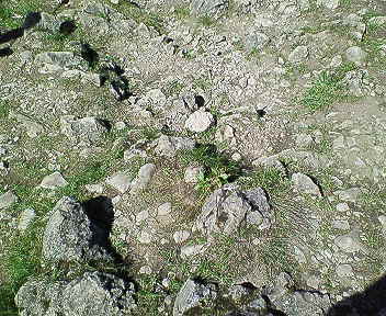 a87553b4.jpg