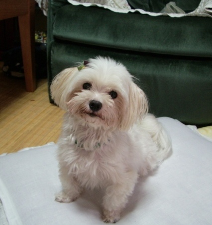 ca305257.jpg
