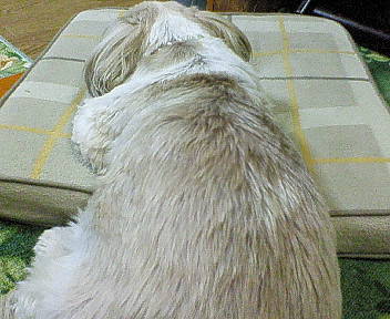 d05e6db2.jpg