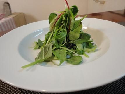 シンプルサラサ