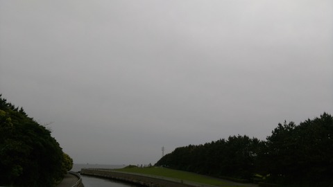 IMAG0206