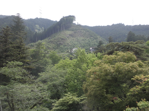 P1010009