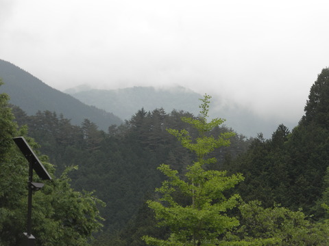 P1010085