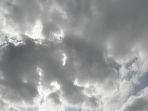 P1010036