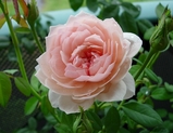 3cc12c56.jpg