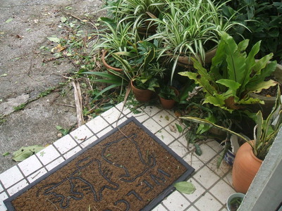 DSCF4677