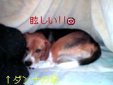 04-10-20_23-51.jpg