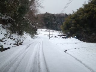 薪割り場201202042