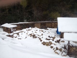 薪割り場201202041