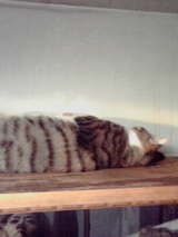 72178d0d.jpg