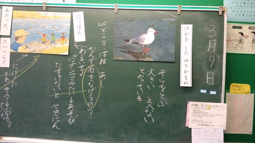 PAP_0161