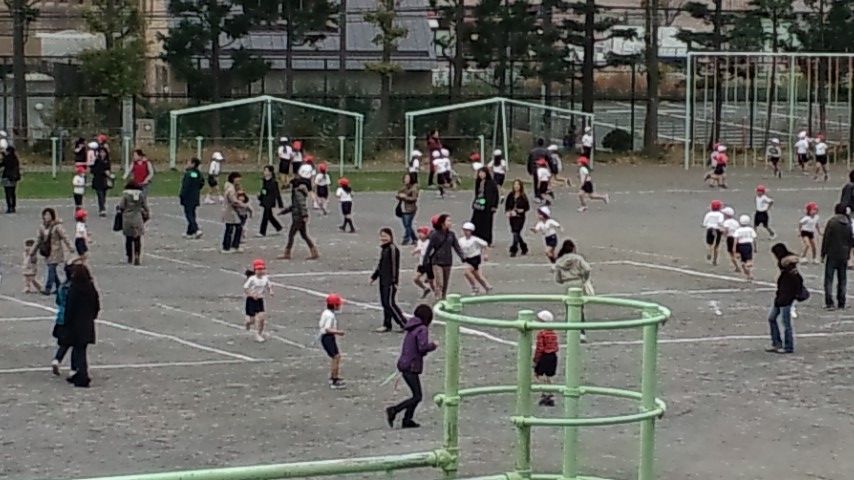 PAP_0151