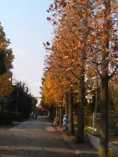 PA0_0003