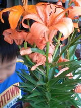 2f27b77a.jpg