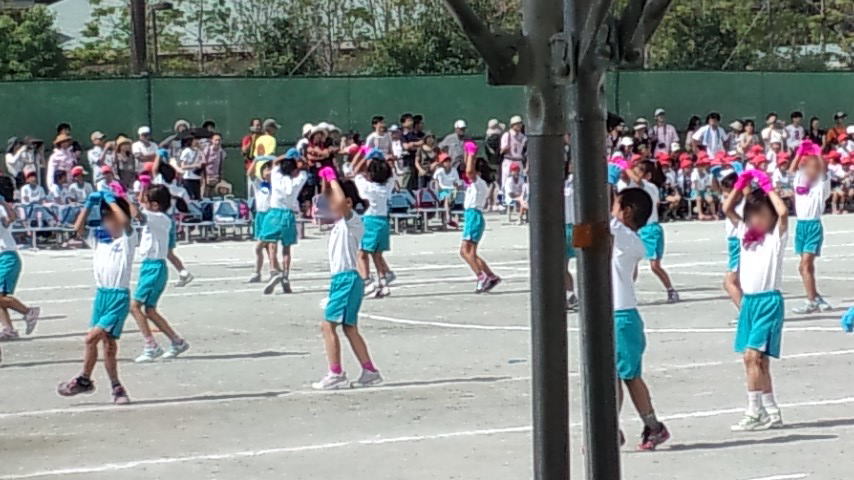 孫の運動会
