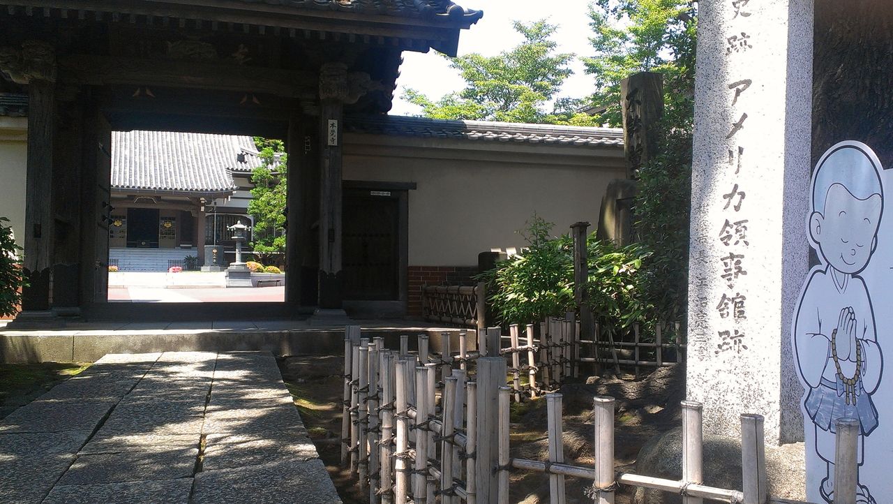 IMAG7998 (1)