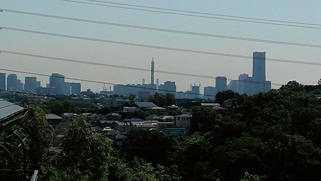 IMAG8096 (2)