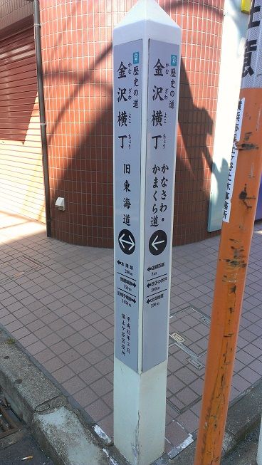 IMAG8070