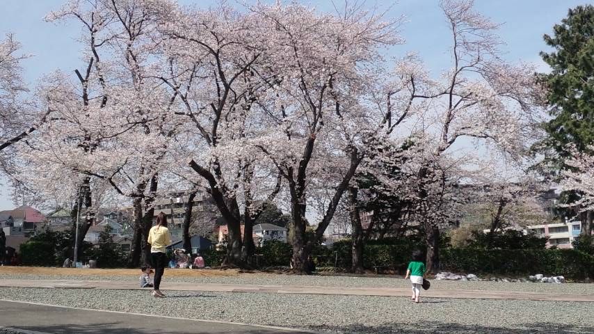 PAP_0014