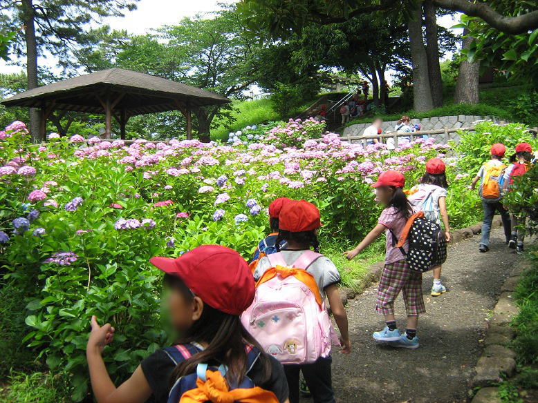 kodomo05