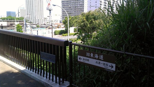 IMAG8121 (1)