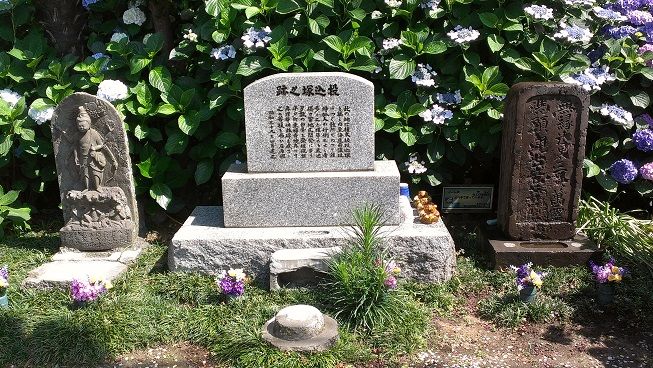 IMAG8099 (1)