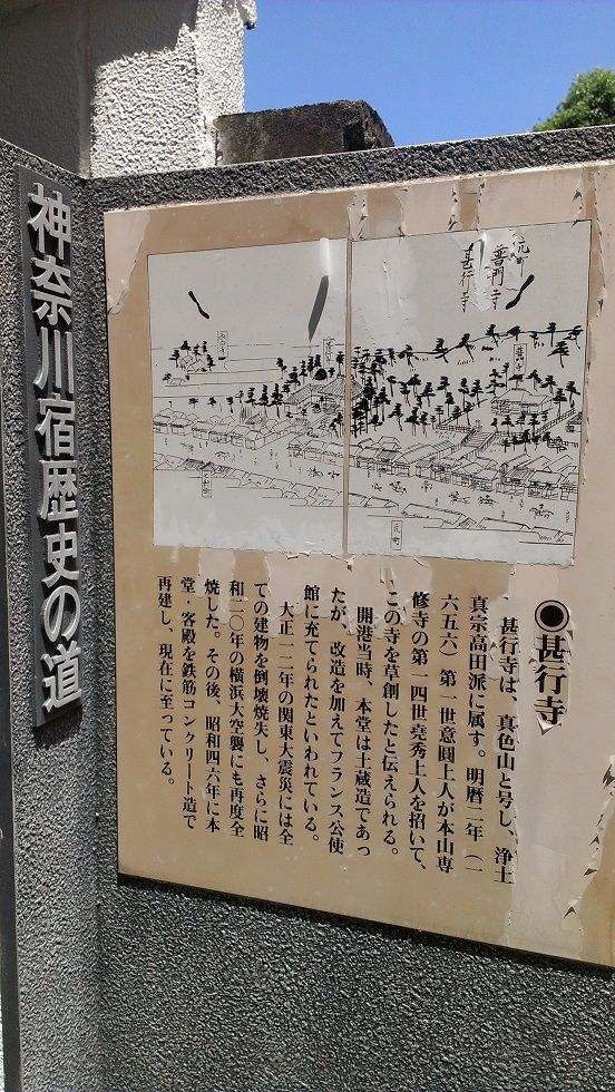 IMAG7987