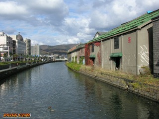 111108_hokkaido3-1