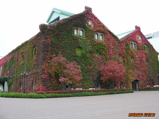 111107_hokkaido2-1