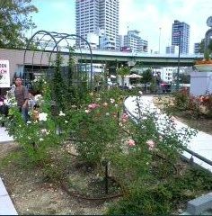 ���ʥåץ���å� 2010-10-14 16-41-00