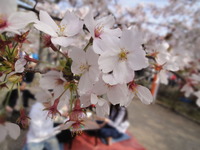 DSC00463