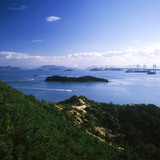 6519eb90.jpg