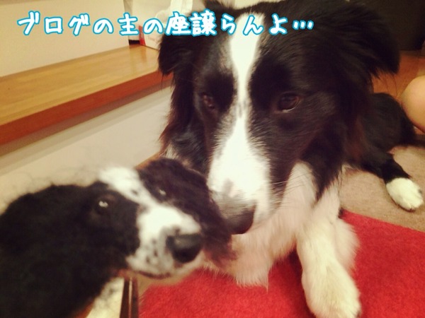 2014-07-06-09-01-51