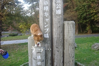 s-DSC03031