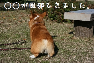 s-003 (4)