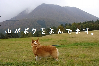 s-DSC03156
