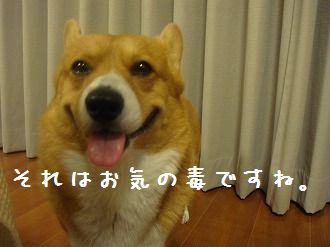 s-DSC00951