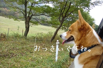 s-DSC03175