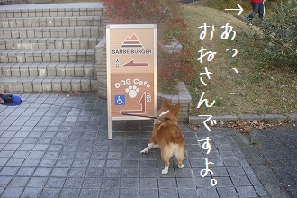 s-DSC03032