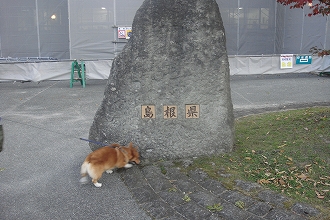 s-DSC03045