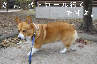 s-DSC03120